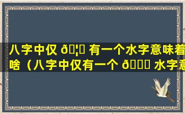 八字中仅 🦊 有一个水字意味着啥（八字中仅有一个 🐝 水字意味着啥意思）